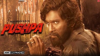 all movies hub pushpa movie download