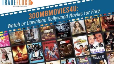 hd movie area 300mb all movies hub