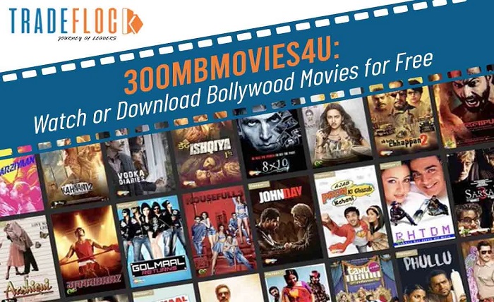 hd movie area 300mb all movies hub