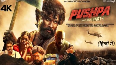 pushpa movie download in hindi all movies hub