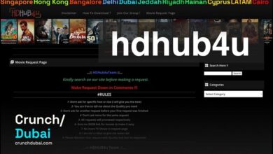 all movie hub rest download