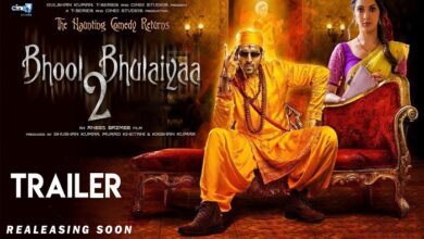 bhool bhulaiyaa 2 all movie hub