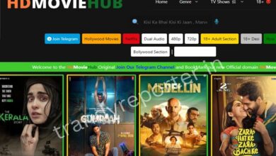 all movie hub for you