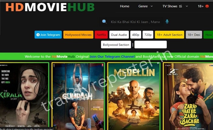 all movie hub for you