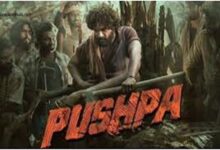 pushpa movie download in hindi all movies hub