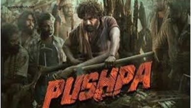 pushpa movie download in hindi all movies hub