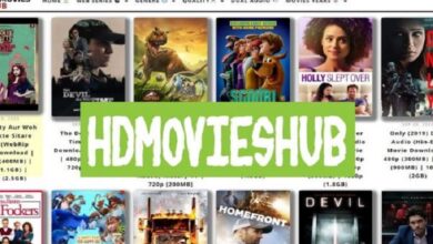 all movie hub download