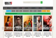 all movie hub bollywood download