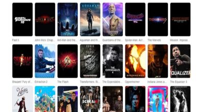 all movie hub download free