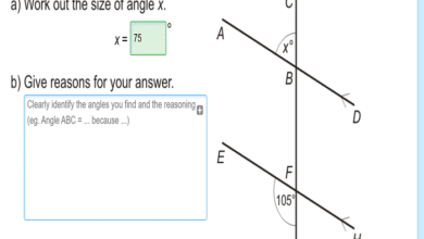 work out the size of angle x mathswatch