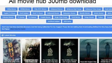 all movie hub 300mb download