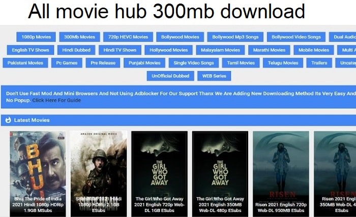 all movie hub 300mb download