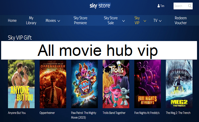 all movie hub vip