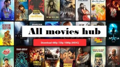 all movies hub movie download hindi dubbed